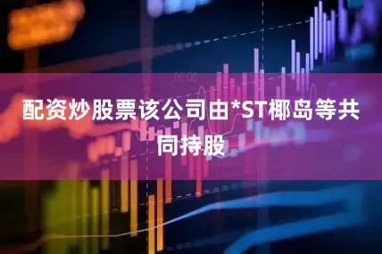 配资炒股票该公司由*ST椰岛等共同持股