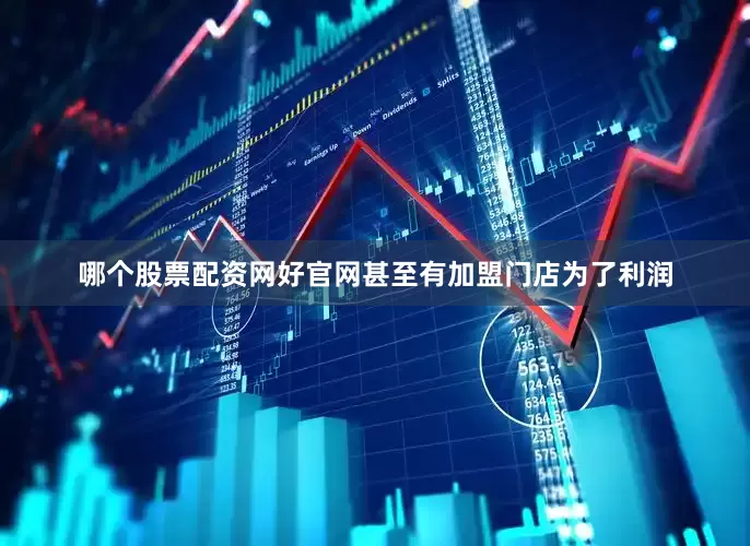哪个股票配资网好官网甚至有加盟门店为了利润