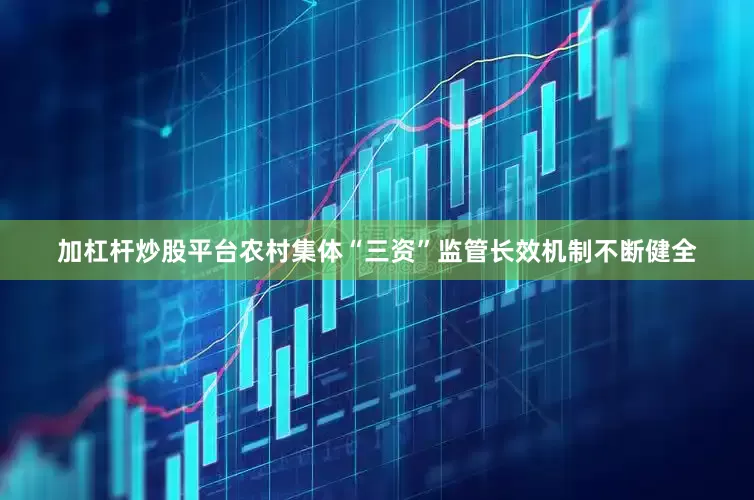 加杠杆炒股平台农村集体“三资”监管长效机制不断健全