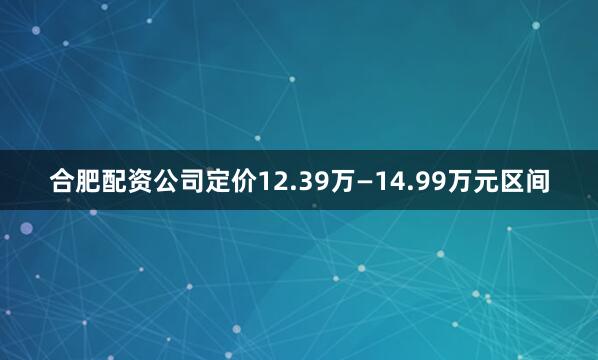 合肥配资公司定价12.39万—14.99万元区间
