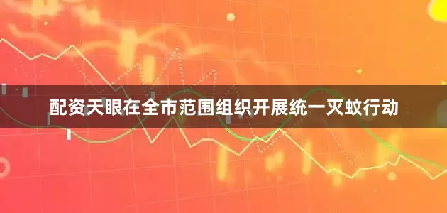 配资天眼在全市范围组织开展统一灭蚊行动