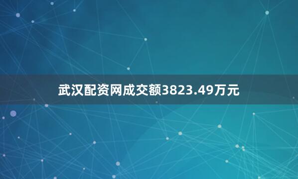 武汉配资网成交额3823.49万元