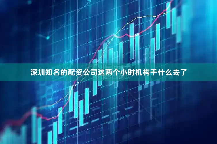 深圳知名的配资公司这两个小时机构干什么去了