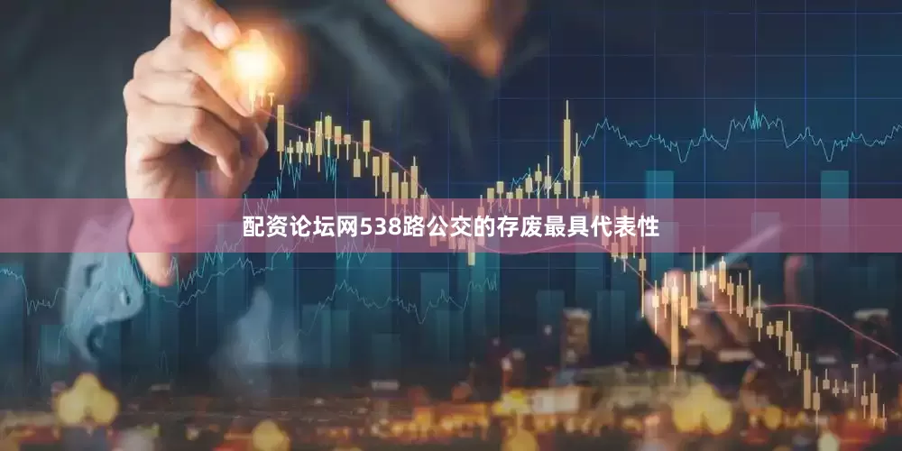 配资论坛网538路公交的存废最具代表性